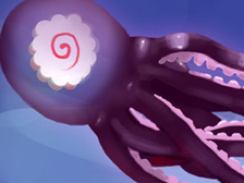 Flying Octopus