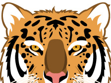2010_th1